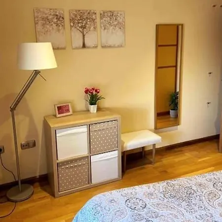 Apartamento Atico Centrico Con Terraza Y Garaje Benavente